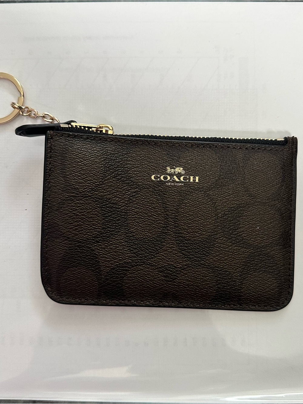 COACH Signature Small Zip Pouch in Brown